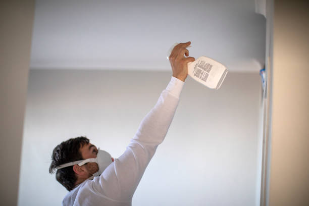 Best DIY Mold Remediation Support Services in Sleepy Eye, MN